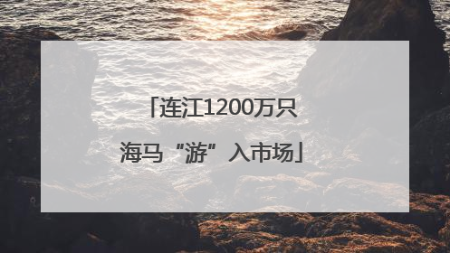 连江1200万只海马“游”入市场